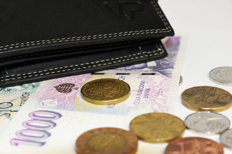 newstin.cz_viasms_cz_nahledovy